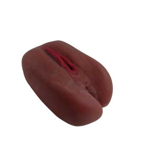 CLOUD 9 PUSSY & ANAL STROKER BODY MOLD BROWN 