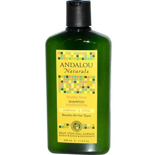Andalou Naturals Healthy Shine Sunflower & Citrus Shampoo (1x11.5 Oz)