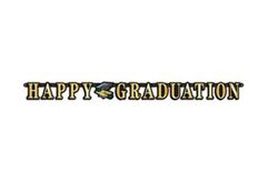 Category: Dropship Party Supplies, SKU #2355507, Title: . Case of [24] Happy Graduation Streamer .