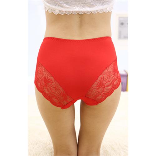 Red Lace Floral Seamless Panty