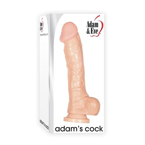 Adam and Eve Adam's Cock