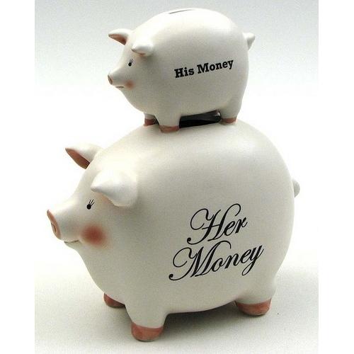 His Money/Her Money Pig Bank
