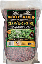 White Gold Clover Rush Seed 5 lbs.